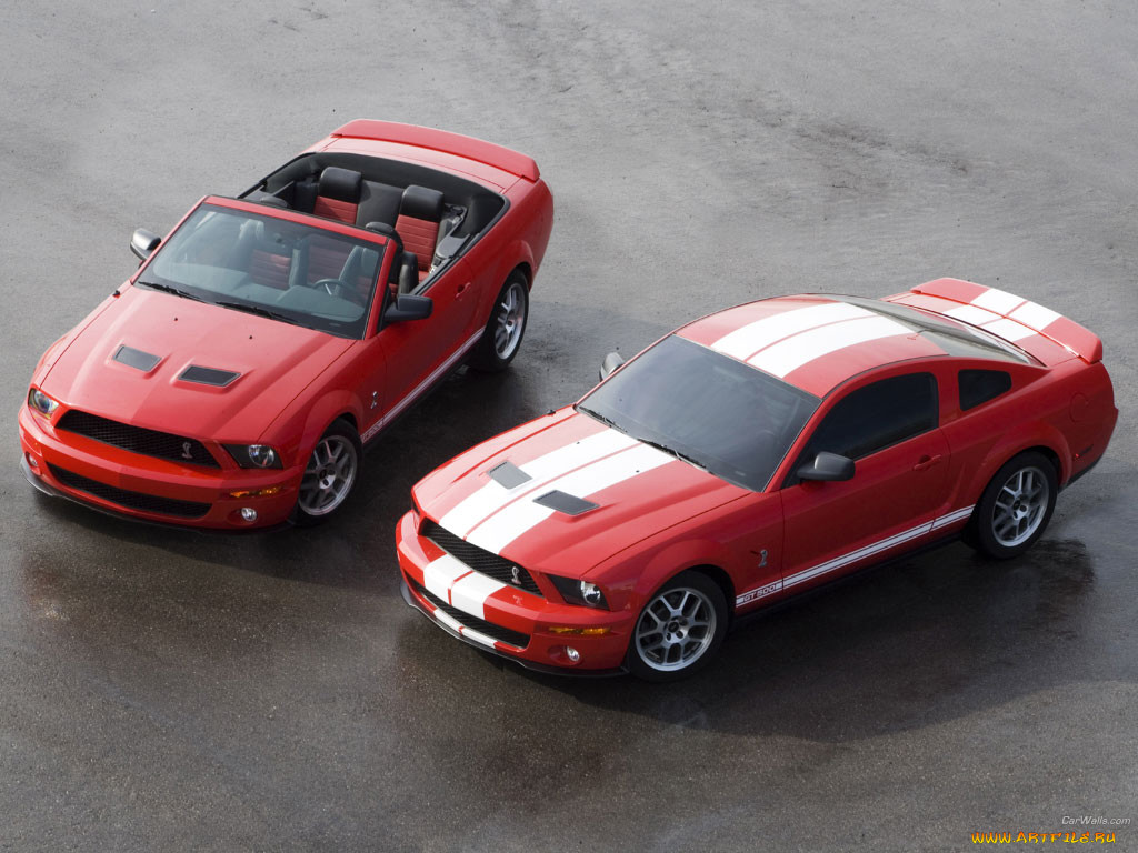 ford, shalby, gt, 500, 